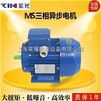 MS6314三相异步电动机，0.12KW紫光电机