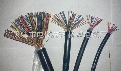 2-48芯综合纽绞铁路信号电缆PZYA23图片