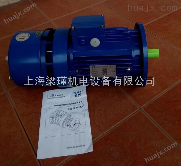 BMA8012-0.75KW紫光刹车电机