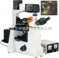 倒置荧光显微镜型号：DP-XDS-500C