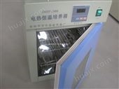 DHP-300电热恒温培养箱