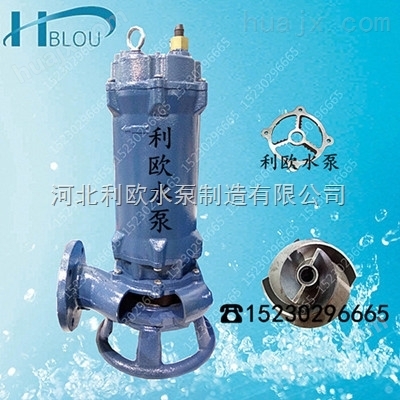 利欧65GNWQ26-22-4潜水切割泵排污泵液下泥浆泵渣浆泵脱硫泵