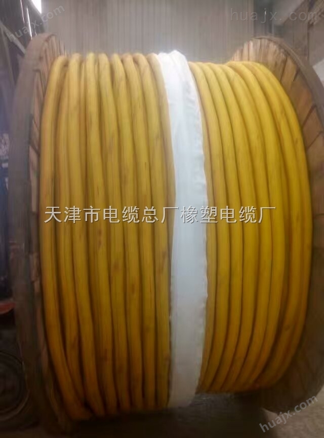 RVVS视频监双绞线控电缆/天津市电缆总厂