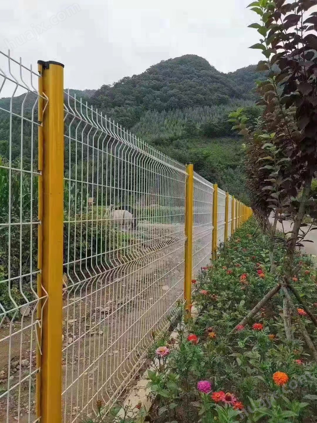 钢丝围栏围网多少钱