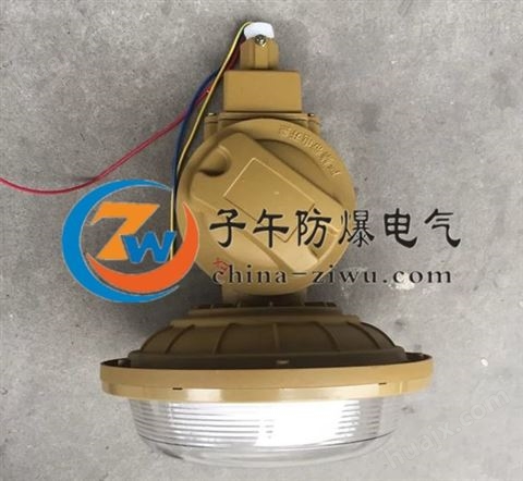 免维护防爆壁灯 SBD1103-YQL50C1电磁感应灯