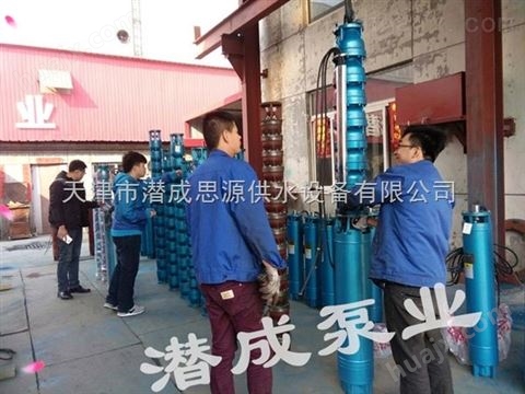 高扬程潜水泵|天津高扬程潜水泵