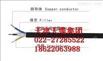 ZR-FF22耐高温电缆20*1.5高温铠装线