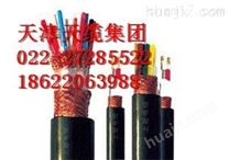 云南DJYPVP12*2*1.5计算机电缆价格