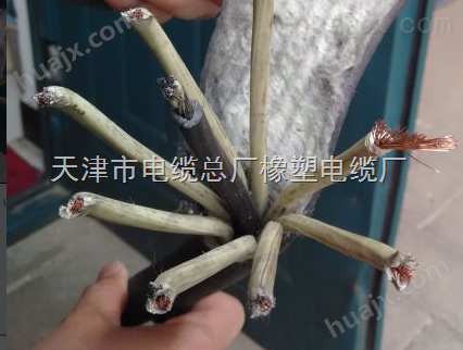 YC-J-5x10行车橡套软电缆3x10+1x6钢丝绳电缆