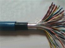 NH-DJYVP3*2*1.0计算机电缆厂家