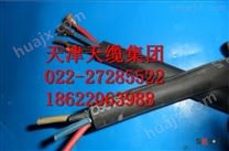 天津供应RVVR22阻燃铠装软电缆（厂家价格）