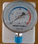 脱硫Y-100B不锈钢压力表