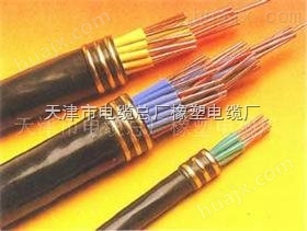NH-KVV22电缆 100米 4*2.5耐火线直销-nh-kvv价格